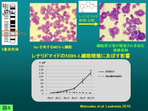 レナリドマイドのMDS-L細胞増殖に及ぼす影響