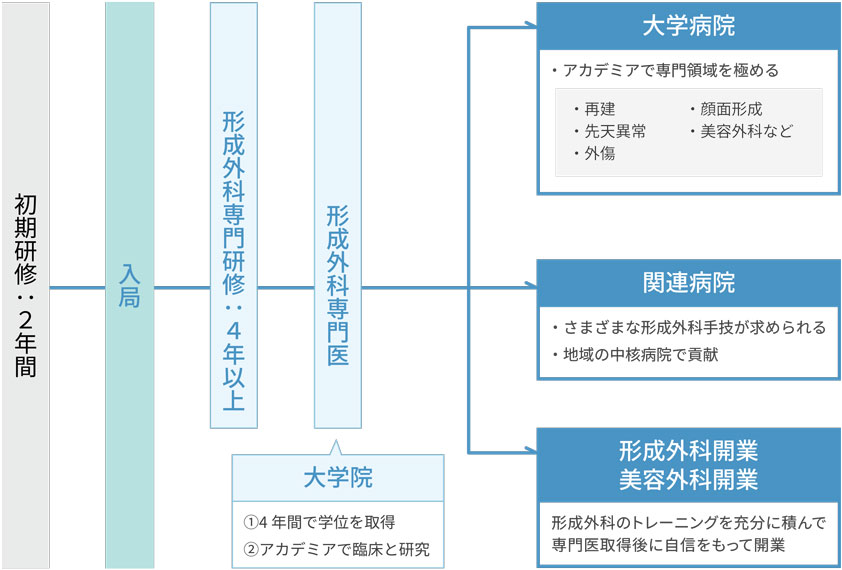 キャリアパス